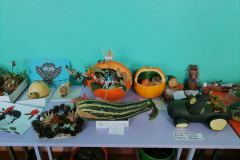 IMG-b956d179cb7c65a8dd58e50f1188094e-V